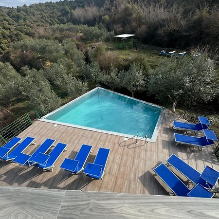 Qyteza Guest House & Camping Shkoder Bagian luar foto