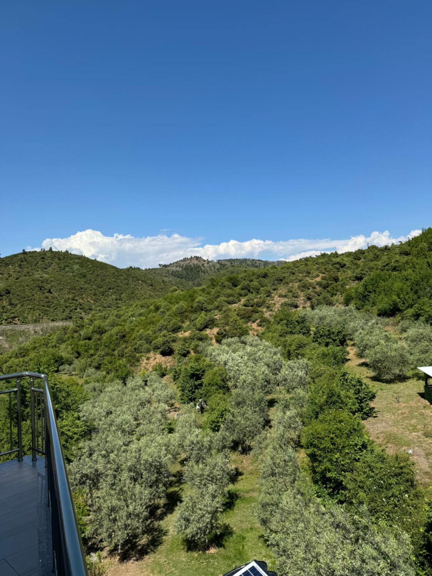 Qyteza Guest House & Camping Shkoder Bagian luar foto