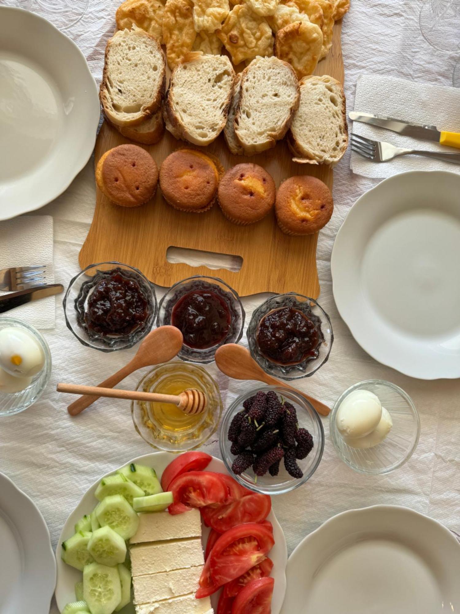 Qyteza Guest House & Camping Shkoder Bagian luar foto